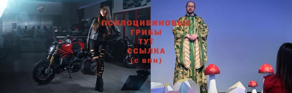 mdpv Медногорск