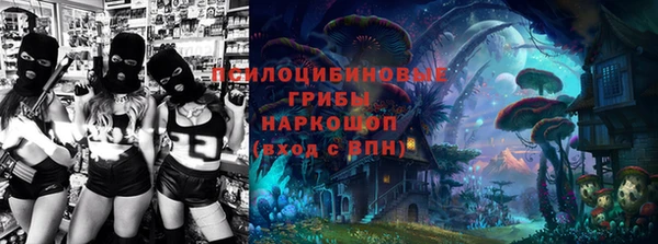 эйфоретик Медвежьегорск