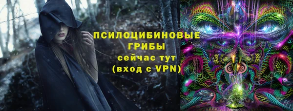 mdpv Медногорск