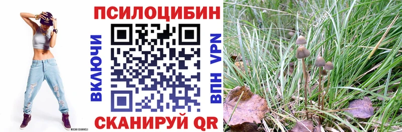 где продают наркотики  ссылка на мегу ONION  Галлюциногенные грибы Psilocybine cubensis  Ковылкино 
