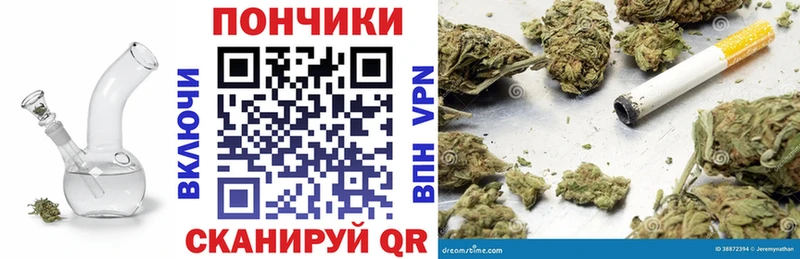 Конопля сатива  Ковылкино 